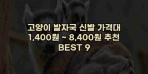 우니재의 알리알리 알리숑 - 30045 - 2024년 11월 24일 83