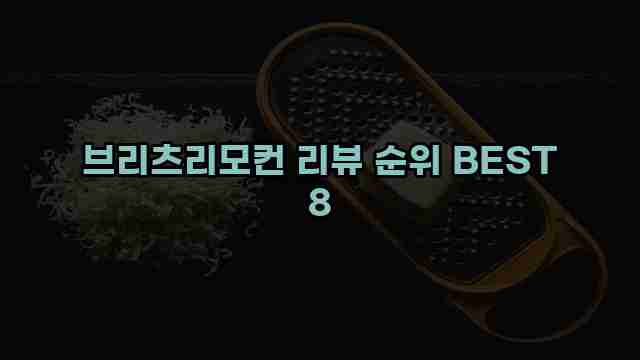 브리츠리모컨 리뷰 순위 BEST 8