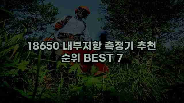 18650 내부저항 측정기 추천 순위 BEST 7