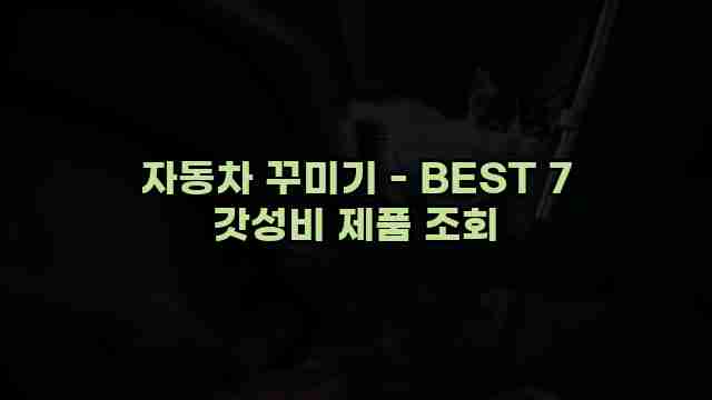 자동차 꾸미기 - BEST 7 갓성비 제품 조회