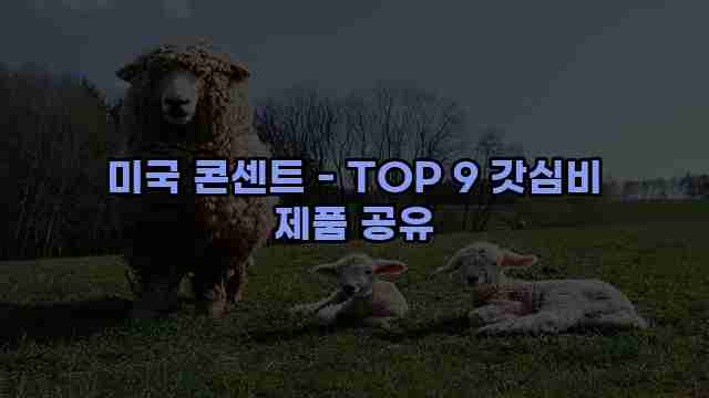 미국 콘센트 - TOP 9 갓심비 제품 공유