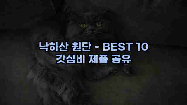 낙하산 원단 - BEST 10 갓심비 제품 공유