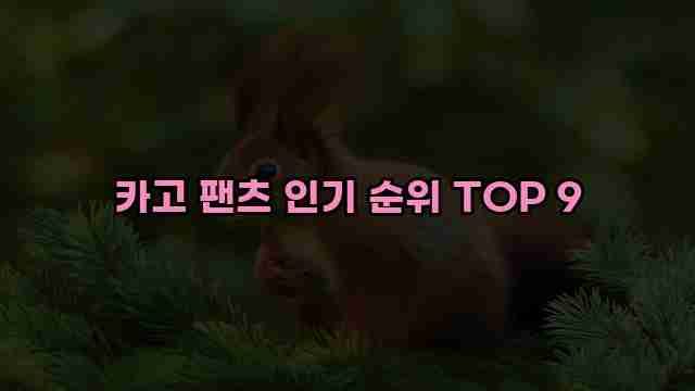 카고 팬츠 인기 순위 TOP 9