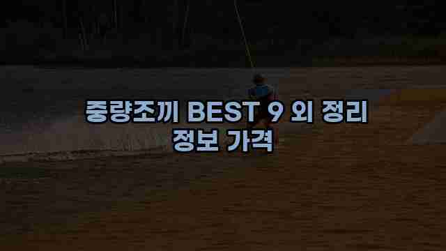  중량조끼 BEST 9 외 정리 정보 가격