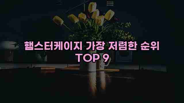 햄스터케이지 가장 저렴한 순위 TOP 9