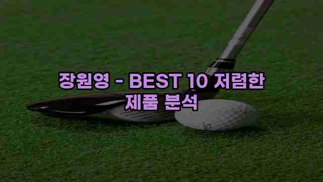 장원영 - BEST 10 저렴한 제품 분석