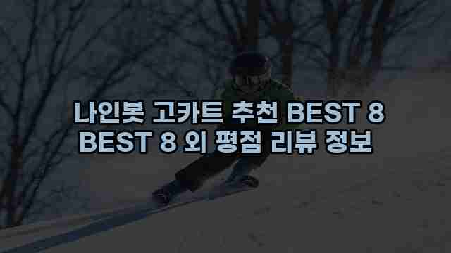  나인봇 고카트 추천 BEST 8 BEST 8 외 평점 리뷰 정보