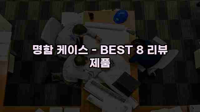 명함 케이스 - BEST 8 리뷰 제품 