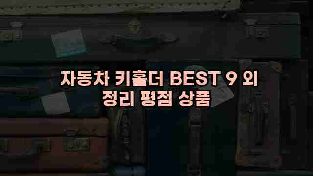  자동차 키홀더 BEST 9 외 정리 평점 상품