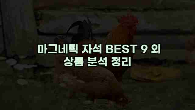  마그네틱 자석 BEST 9 외 상품 분석 정리