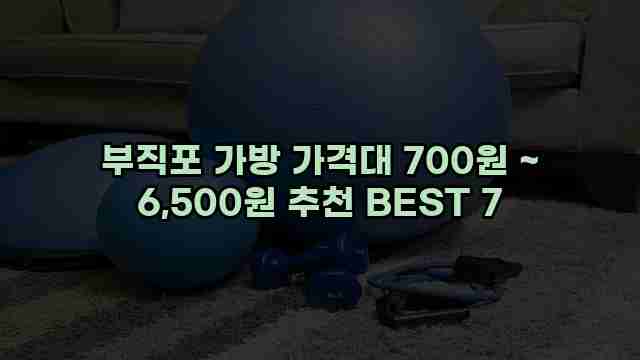 부직포 가방 가격대 700원 ~ 6,500원 추천 BEST 7