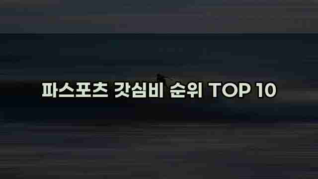 파스포츠 갓심비 순위 TOP 10