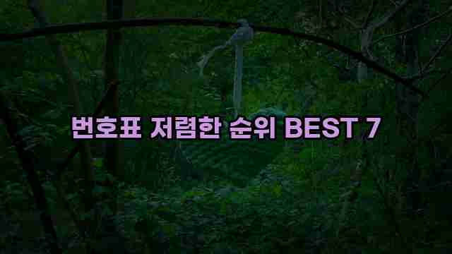 번호표 저렴한 순위 BEST 7