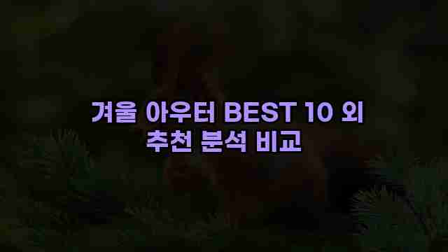  겨울 아우터 BEST 10 외 추천 분석 비교