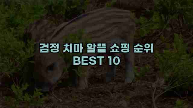 검정 치마 알뜰 쇼핑 순위 BEST 10