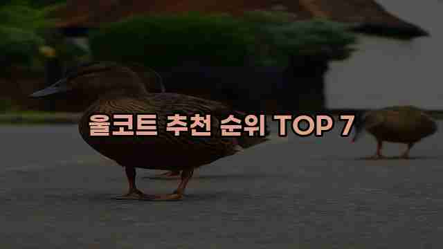 울코트 추천 순위 TOP 7