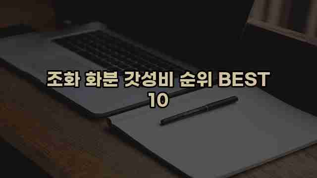 조화 화분 갓성비 순위 BEST 10