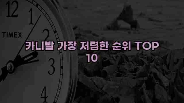 카니발 가장 저렴한 순위 TOP 10