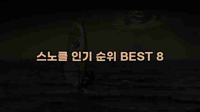 스노클 인기 순위 BEST 8