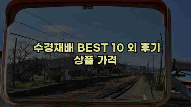  수경재배 BEST 10 외 후기 상품 가격