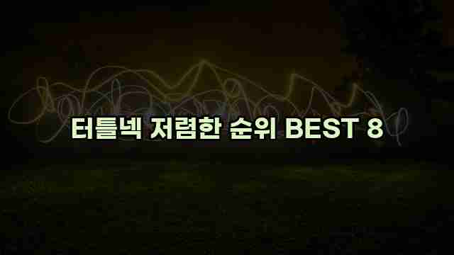 터틀넥 저렴한 순위 BEST 8