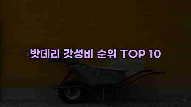 밧데리 갓성비 순위 TOP 10