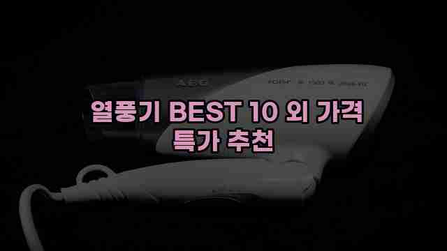  열풍기 BEST 10 외 가격 특가 추천