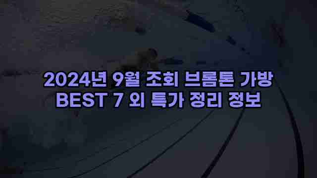 2024년 9월 조회 브롬톤 가방 BEST 7 외 특가 정리 정보