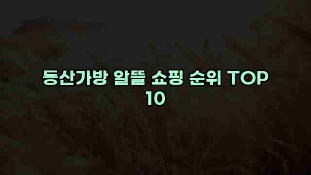 등산가방 알뜰 쇼핑 순위 TOP 10