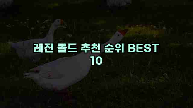 레진 몰드 추천 순위 BEST 10