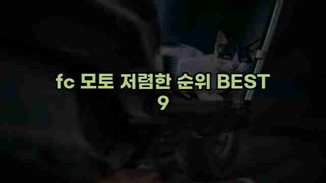 fc 모토 저렴한 순위 BEST 9