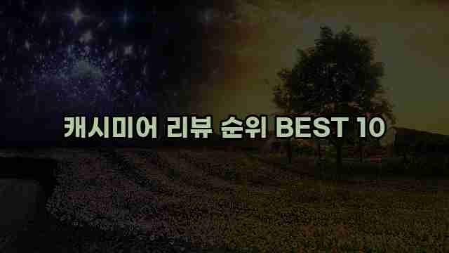 캐시미어 리뷰 순위 BEST 10