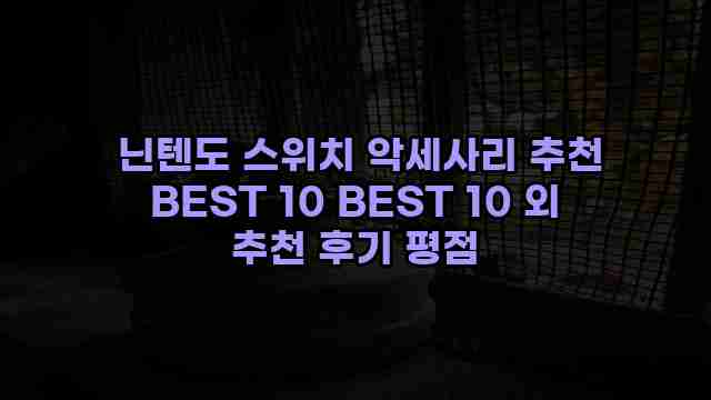  닌텐도 스위치 악세사리 추천 BEST 10 BEST 10 외 추천 후기 평점