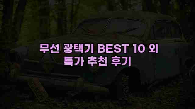  무선 광택기 BEST 10 외 특가 추천 후기