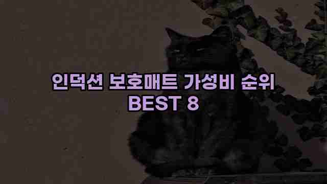 인덕션 보호매트 가성비 순위 BEST 8