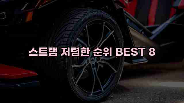 스트랩 저렴한 순위 BEST 8