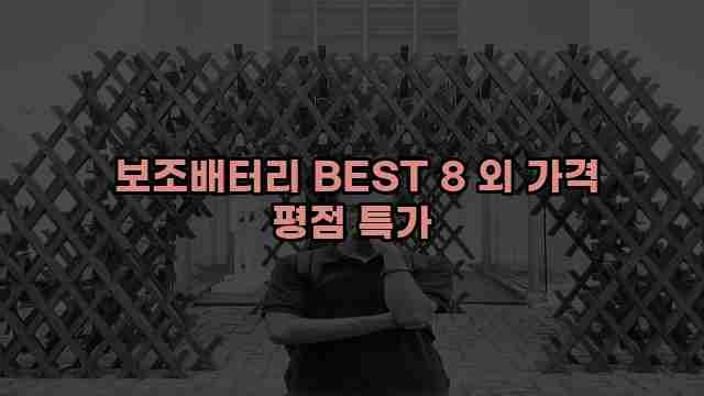  보조배터리 BEST 8 외 가격 평점 특가