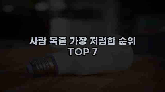 사람 목줄 가장 저렴한 순위 TOP 7