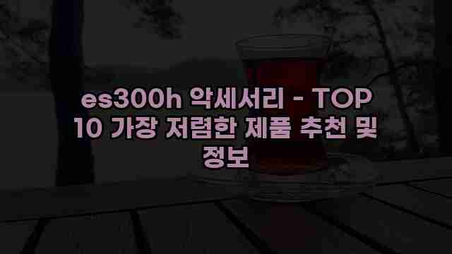 es300h 악세서리 - TOP 10 가장 저렴한 제품 추천 및 정보