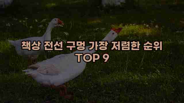 책상 전선 구멍 가장 저렴한 순위 TOP 9