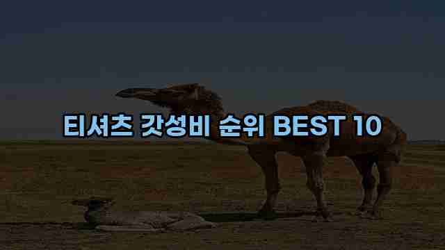 티셔츠 갓성비 순위 BEST 10