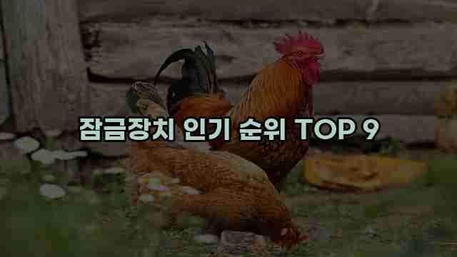 잠금장치 인기 순위 TOP 9