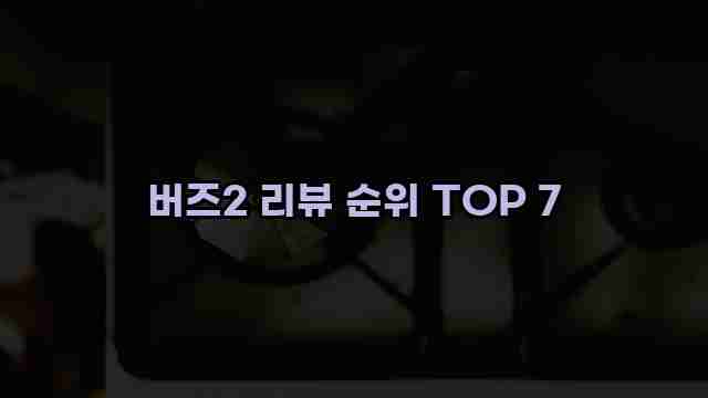 버즈2 리뷰 순위 TOP 7