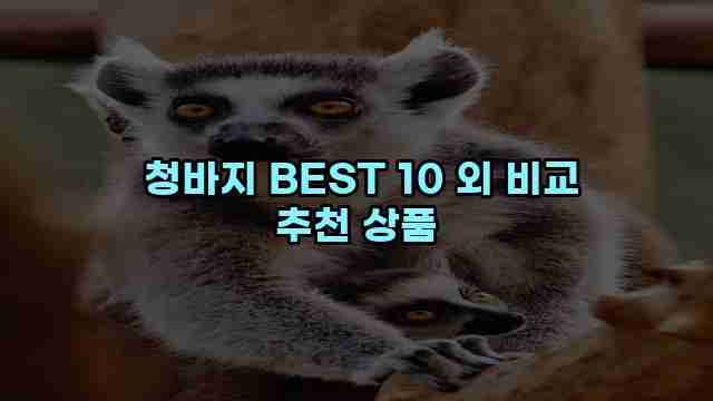  청바지 BEST 10 외 비교 추천 상품