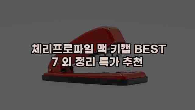  체리프로파일 맥 키캡 BEST 7 외 정리 특가 추천