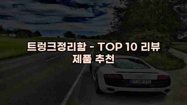 트렁크정리함 - TOP 10 리뷰 제품 추천