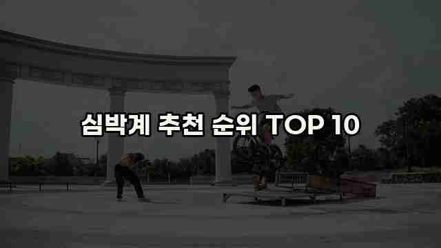 심박계 추천 순위 TOP 10