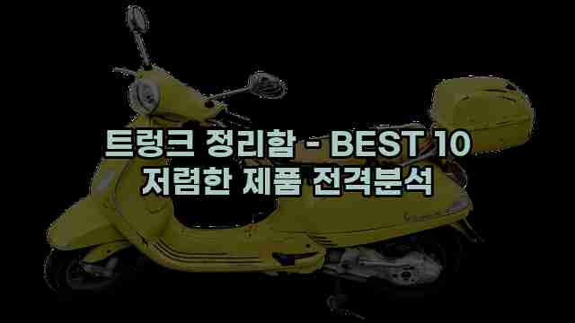 트렁크 정리함 - BEST 10 저렴한 제품 전격분석