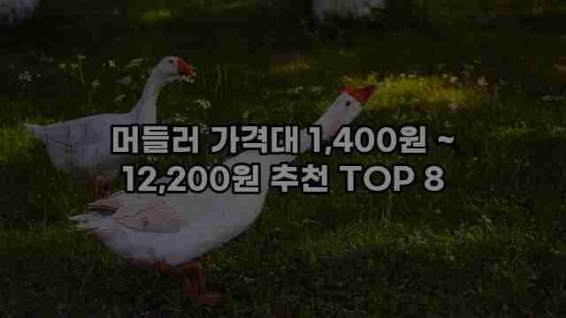 머들러 가격대 1,400원 ~ 12,200원 추천 TOP 8