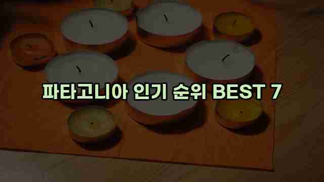 파타고니아 인기 순위 BEST 7